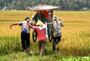 Mesin Perontok Padi