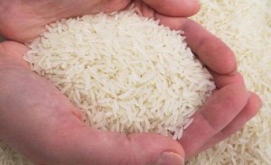Jaksa Diminta Fokus Kasus Raskin Peudada