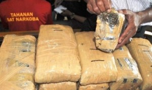 BNN Sita 118 Kg Ganja Asal Aceh