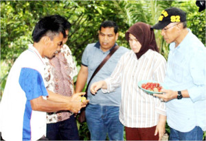Pemkot Pagaralam Akan Kembangkan Pala Sambutan Aceh Selatan
