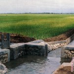 Bansos 9,8 M di Aceh Selatan Rawan Korupsi