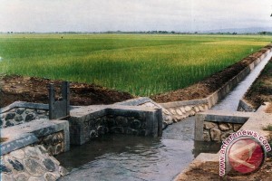 Bansos 9,8 M di Aceh Selatan Rawan Korupsi