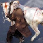 Sindikat Pencurian Racuni Ternak Warga di Pidie