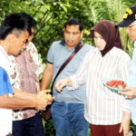 Aceh Selatan Sambut Baik Rencana Pengembangan Pala oleh Pemko Pagar Alam