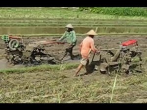 Sukseskan Tanam Serentak, Aceh Selatan Butuh 1.500 Handtraktor
