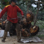 Puluhan Rumah dan Lahan di Aceh Tamiang Terancam Disita