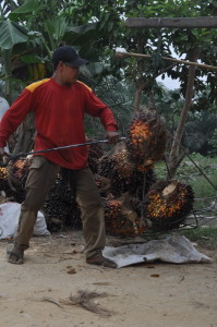 Puluhan Rumah dan Lahan di Aceh Tamiang Terancam Disita