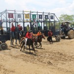 66 Kuda Perkasa Berlaga di Semi Final