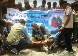 Muslim Care: Tangani Pengungsi Rohingya, Aceh Tampil di Depan