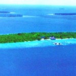 Ini ‘Dosa’ Pulau Surya Paloh Hingga Disegel Ahok