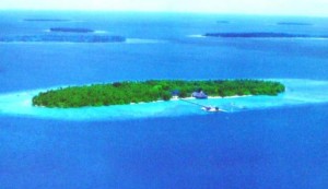 Ini ‘Dosa’ Pulau Surya Paloh Hingga Disegel Ahok