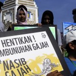 Parade Dunia Selamatkan Gajah, Dimulai di Banda Aceh