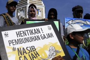 Parade Dunia Selamatkan Gajah, Dimulai di Banda Aceh
