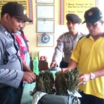 Pemilik Warung di Matangkuli Temukan Sepmor dan Ganja Misterius