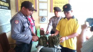 Pemilik Warung di Matangkuli Temukan Sepmor dan Ganja Misterius