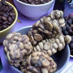 Kopi Luwak Indonesia Laris Manis di Pameran Milan Italia