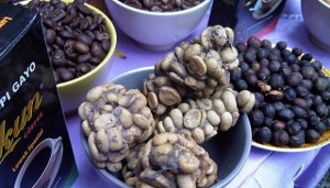 Kopi Luwak Indonesia Laris Manis di Pameran Milan Italia