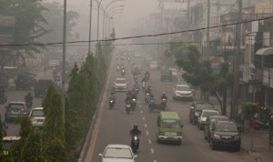 61.017 Warga Riau Sakit karena Asap, Satu orang Tewas