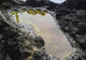 Riwayat Jejak Kaki Raksasa Legenda Tuan Tapa di Aceh Selatan