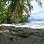 Aceh Selatan Usulkan Anggaran Rp100 M Kembangkan Objek Wisata