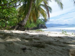 Aceh Selatan Usulkan Anggaran Rp100 M Kembangkan Objek Wisata