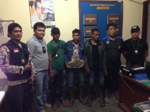 Polres Gayo Lues Tahan Dua Penyeludup Ganja
