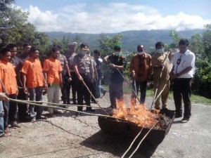 Polres Gayo Lues Musnahkan 30 Bal Ganja Kering
