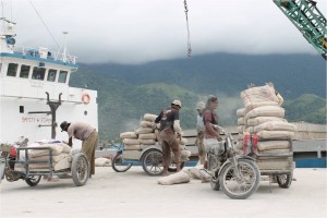 PARA buruh pelabuhan sedang melakukan proses bongkar muat Semen Padang dari Kapal pengangkut di Pelabuhan Tapaktuan, Jumat (20/11/2015).