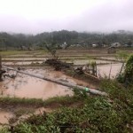 Tiang Listrik Tumbang, Tiga Kecamatan di Gayo Lues Gelap Gulita