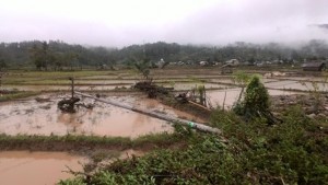 Tiang Listrik Tumbang, Tiga Kecamatan di Gayo Lues Gelap Gulita