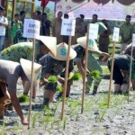 Tanam Serentak di Abdya Bergeser, Dandim Kecewa