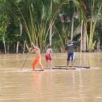 Akibat Banjir, Petani Tambak di Peusangan Merugi