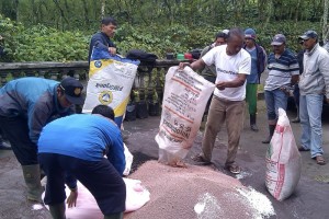 Selama 2016, Pupuk Urea Langka di Aceh Selatan