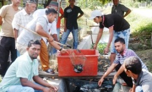 Manfaatkan Saluran Pembuangan, Pemuda Blang Cot Baroh Budidayakan Ikan Tawar