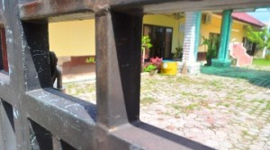 Bupati Aceh Utara Instruksikan Pejabat Tidak Rayakan Tahun Baru ke Luar Kota