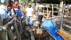 Presdir PAG: Keliru, Kalau Ada yang Mengira Gas di Arun Masih Tersedia