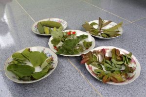 Bahan Pertik dan Majik Kuliner Gayo saat Ramadhan. (Foto Anuar Syahadat)