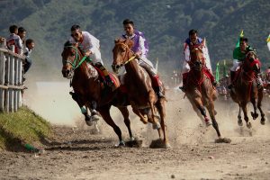 Tanpa pelana joki-joki cilik memacu kuda dengan kecepatan penuh. Beradu tangkas untuk menjadi sang juara.