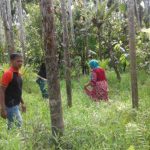 Kakek Lansia di Aceh Utara Dilaporkan Hilang Saat Pergi ke Kebun