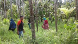 Kakek Lansia di Aceh Utara Dilaporkan Hilang Saat Pergi ke Kebun