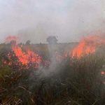 BMKG : Dua Titik Panas Terpantau di Kecamatan Syiah Kuala