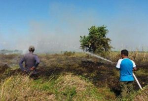 Lahan Gambut di Aceh Barat Kembali Terbakar