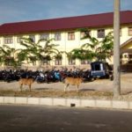 Tak Berpagar, Hewan Ternak Ganggu Kenyamanan Belajar Siswa SMA Idi