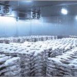 Aceh Selatan akan Miliki Cold Storage Berstandar Internasional, Kapasitasnya 100 Ton