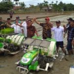 Pemkab Abdya Tanam Padi Perdana di Bineh Krueng