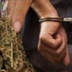 Jual Ganja untuk Kebutuhan Hidup, Zulkifli Diciduk Polisi