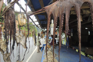 Gurita asi yang dijual di pasar ikan asin Leupueng, Aceh Besar.