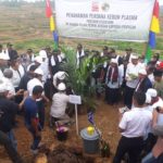PT Padang Palma Dampingi Petani Sawit Bangun Kebun Plasma