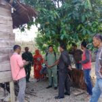 Masuk ke Pemukiman, Kawanan Gajah “Makan Malam” di Rumah Warga Nagan