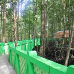 WH Langsa Tertibkan Pengunjung Hutan Manggrove dan Hutan Kota